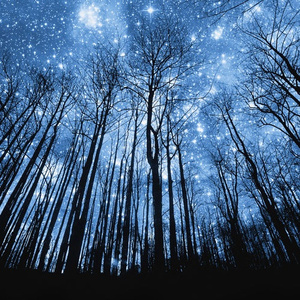 乌克兰免费性爱
